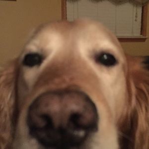 Meet your Posher, Kyle